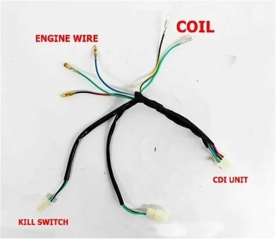 125cc pit bike wiring diagram kick start