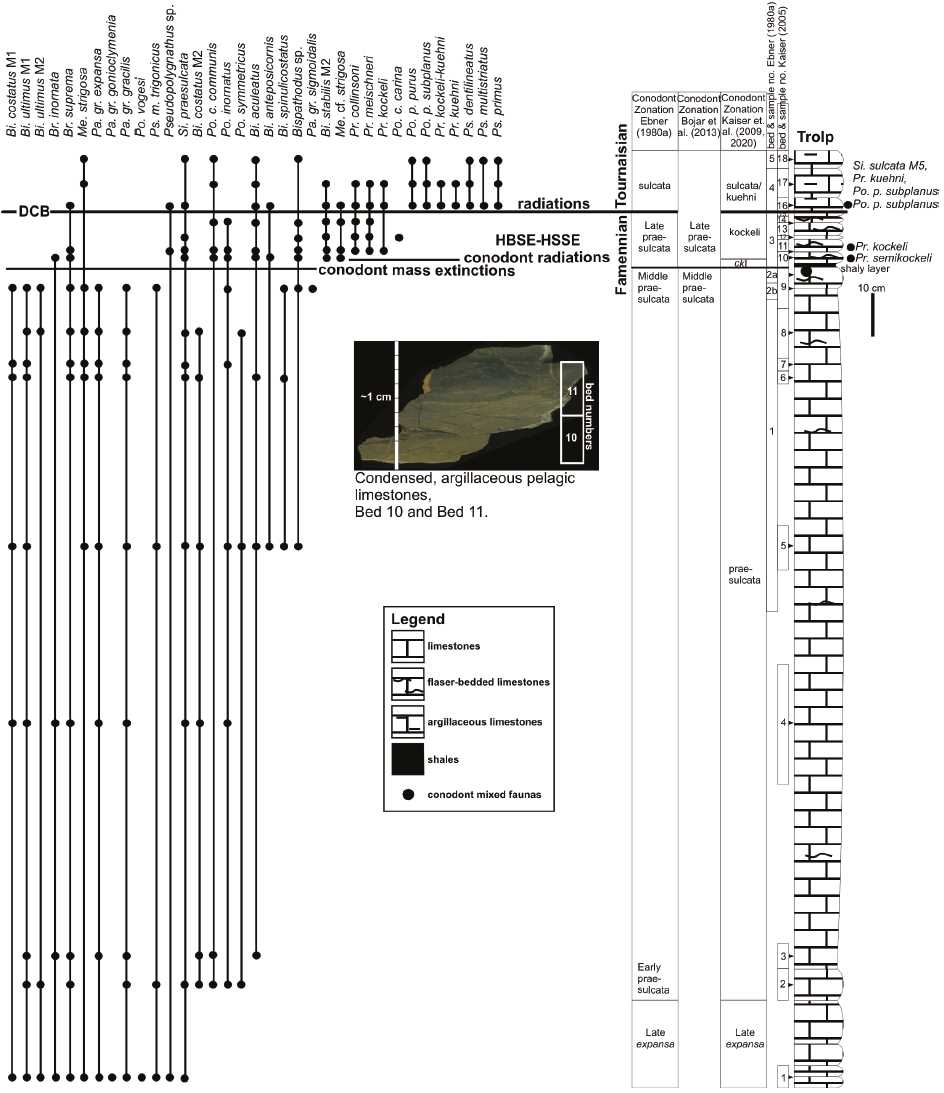 2000 ford excursion radio wiring diagram