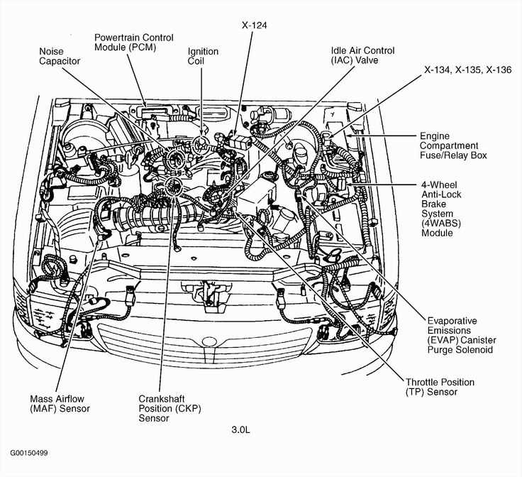 2005 ford focus alternator wiring diagram