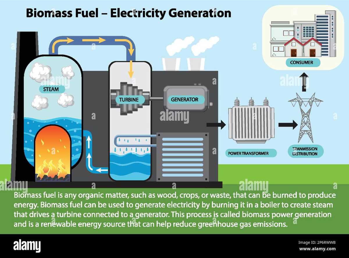 biomass power plant schematic diagram