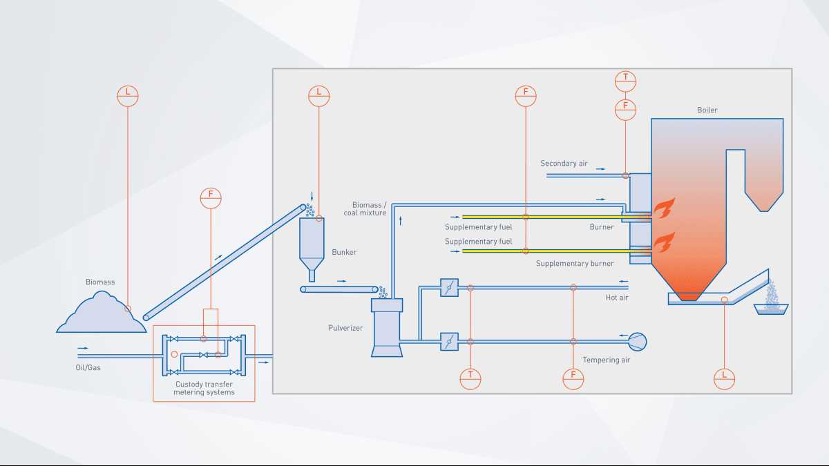 biomass power plant schematic diagram