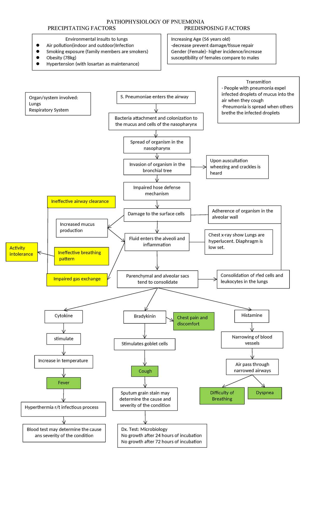 bronchopneumonia pathophysiology schematic diagram bronchopneumonia pathophysiology schematic diagram