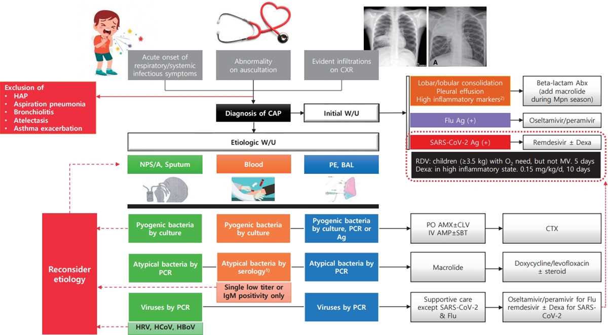 community acquired pneumonia pathophysiology schematic diagram