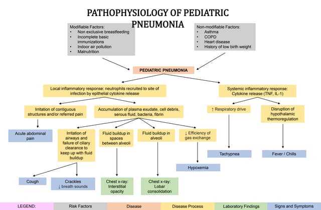 community acquired pneumonia pathophysiology schematic diagram