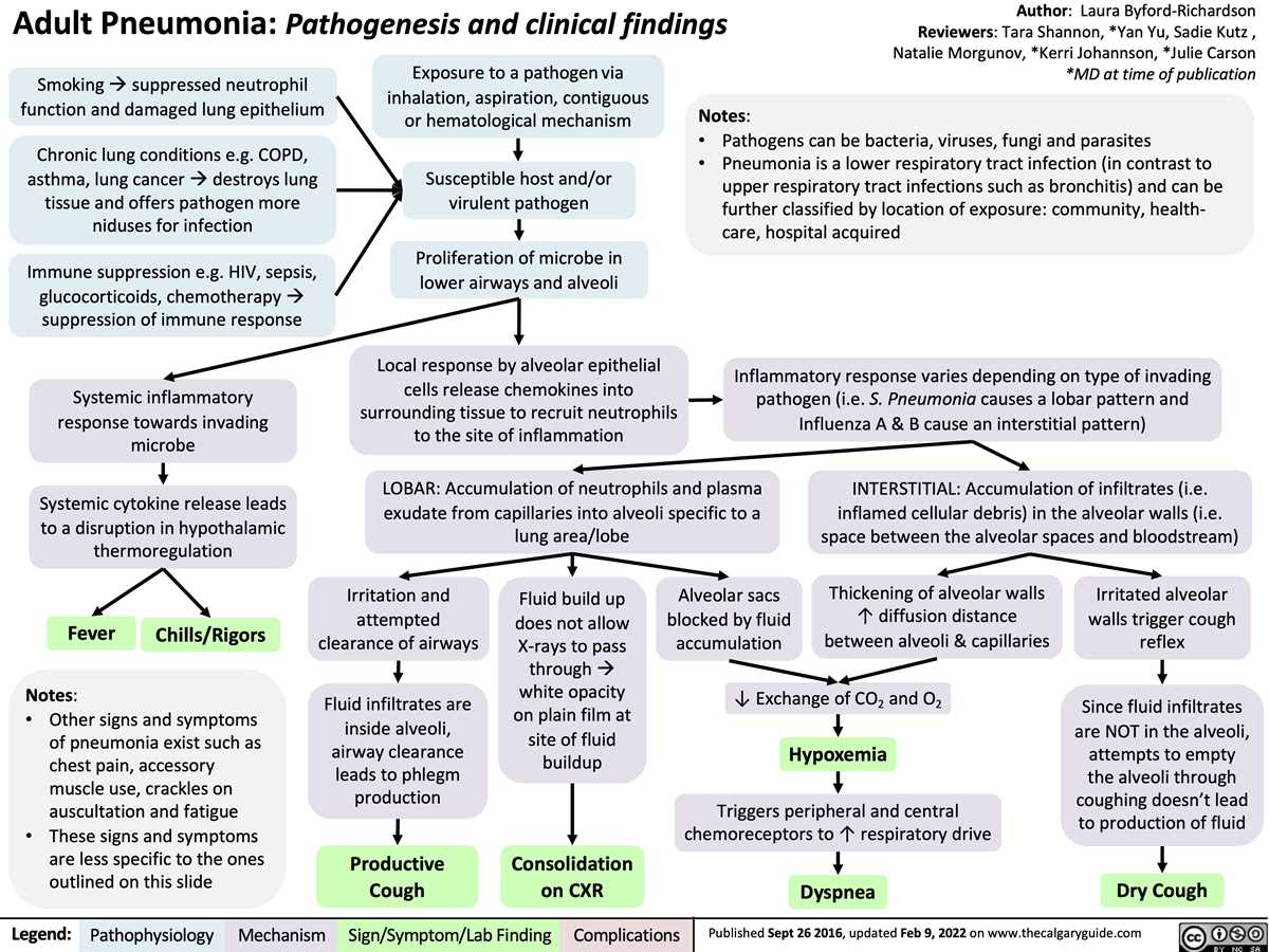 community acquired pneumonia pathophysiology schematic diagram