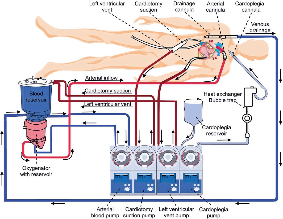 cpb circuit diagram cpb circuit diagram