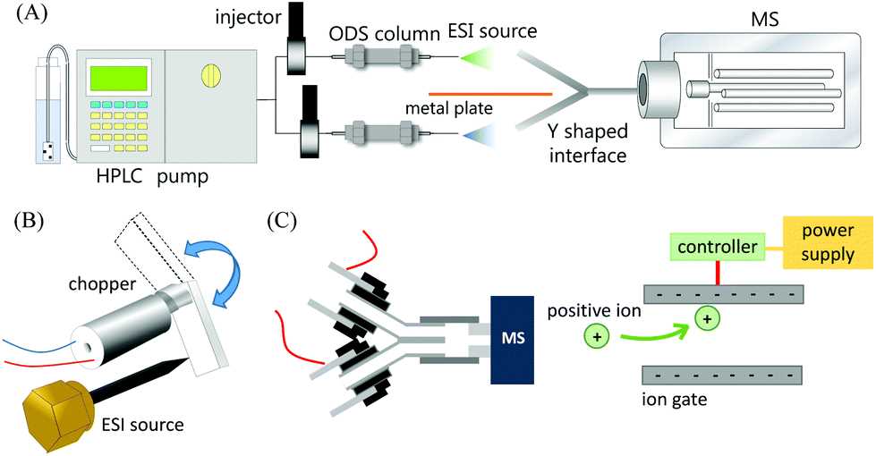 draw and label a schematic diagram of hplc