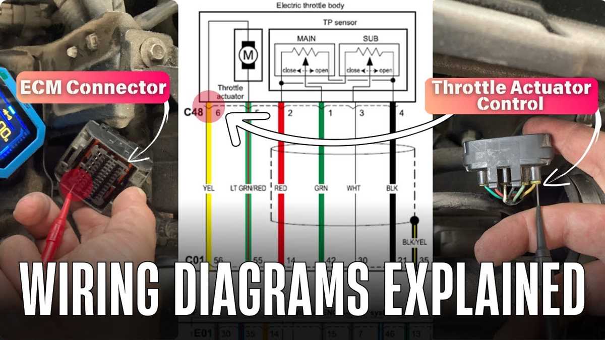 ecu nissan wiring diagram color codes