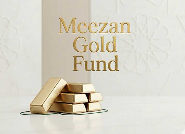 gold line al islam schematic diagram gold line al islam schematic diagram