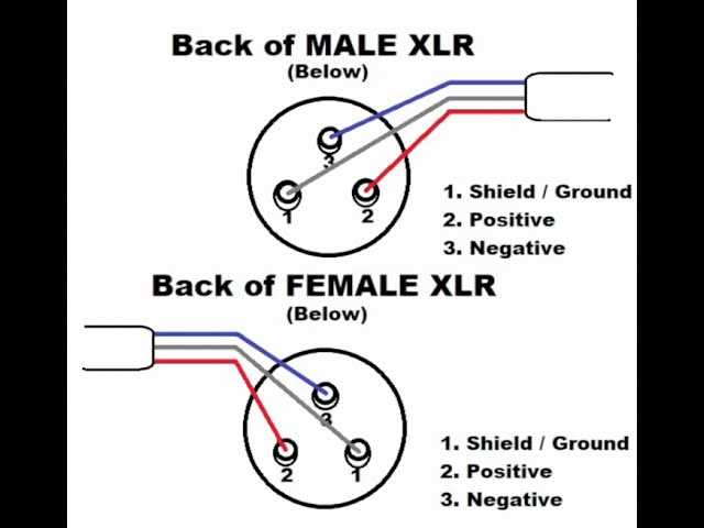 neutrik xlr wiring diagram neutrik xlr wiring diagram