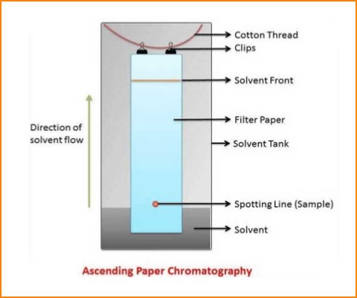 paper chromatography schematic diagram paper chromatography schematic diagram