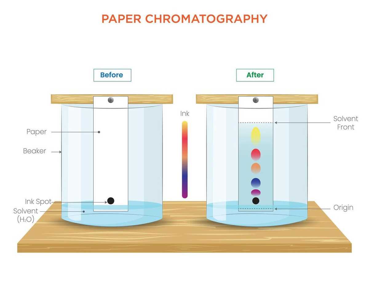 paper chromatography schematic diagram paper chromatography schematic diagram