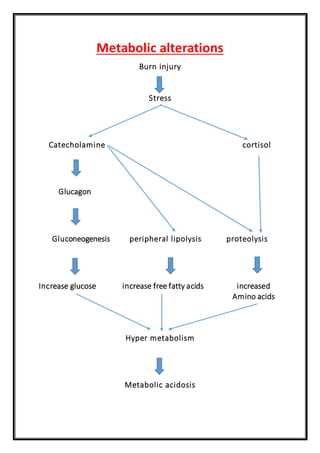 pathophysiology of burns in schematic diagram