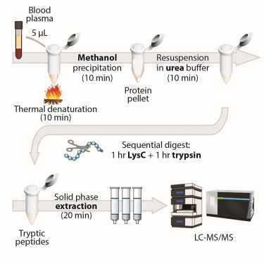 schematic diagram of transferring of serum/plasma specimen for laboratory test