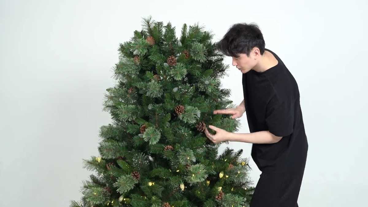 schematic diagram for california pine artificial tree
