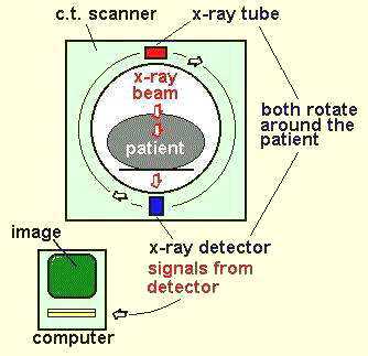 schematic diagram for processing ct samples