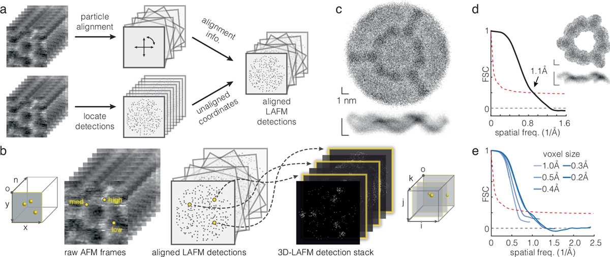 schematic diagram of afm schematic diagram of afm