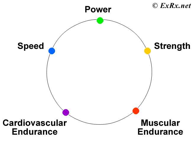 schematic diagram of components of physical fitness