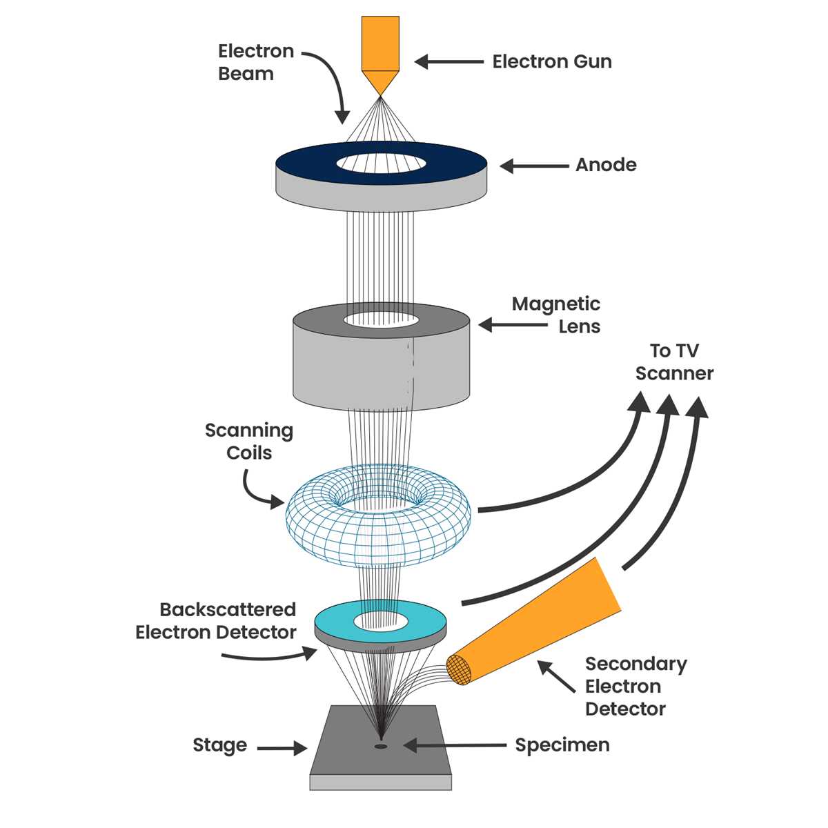 schematic diagram of electron capture detector