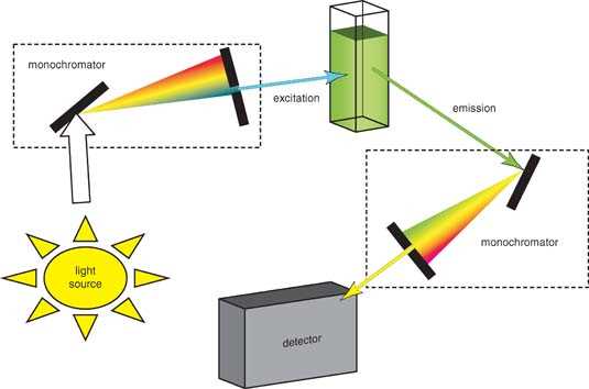 schematic diagram of fluorescence spectrophotometer