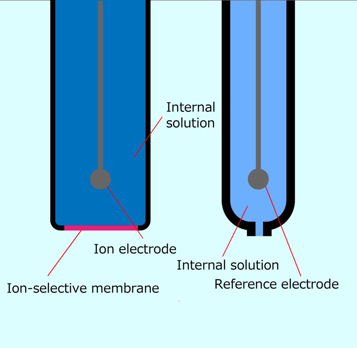 schematic diagram of ion selective electrode description