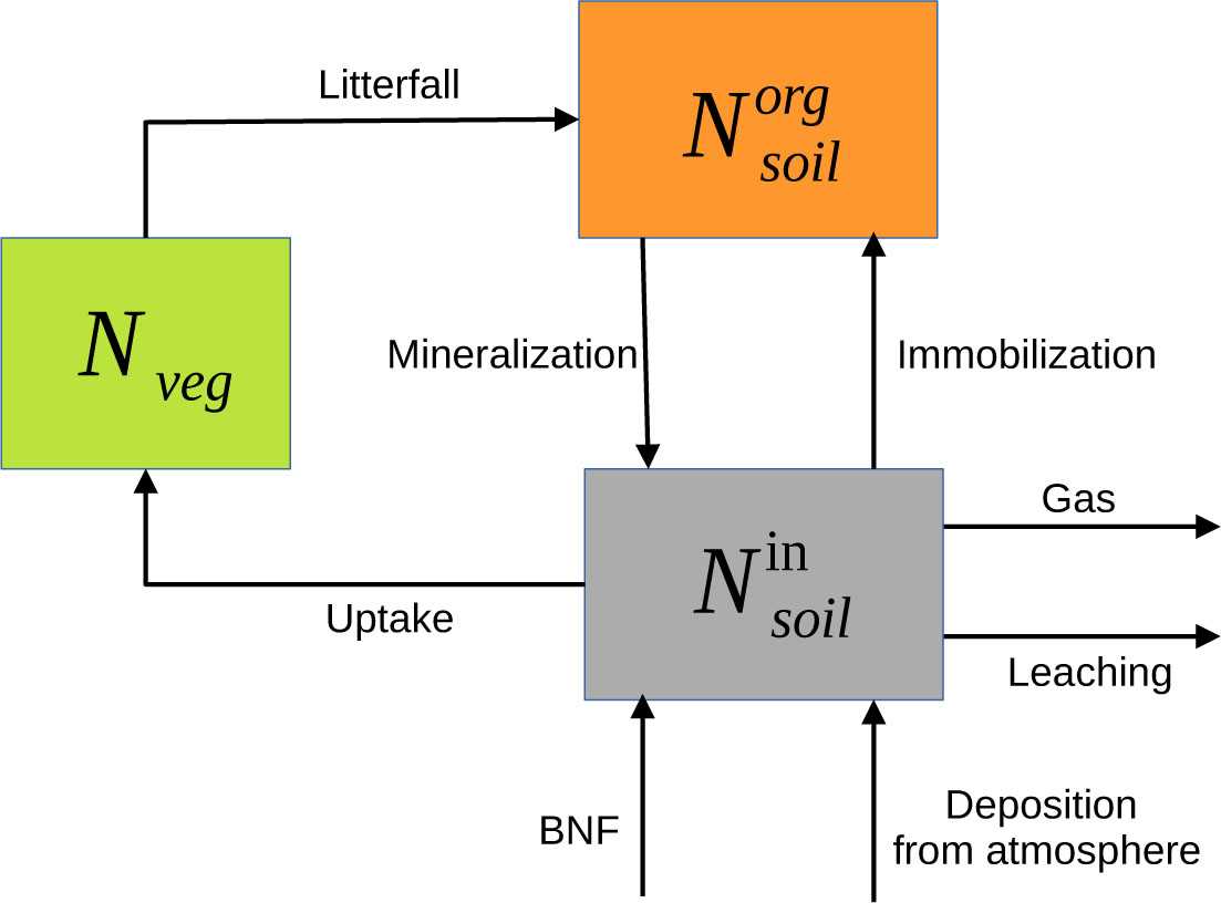 schematic diagram of nitrogen cycle
