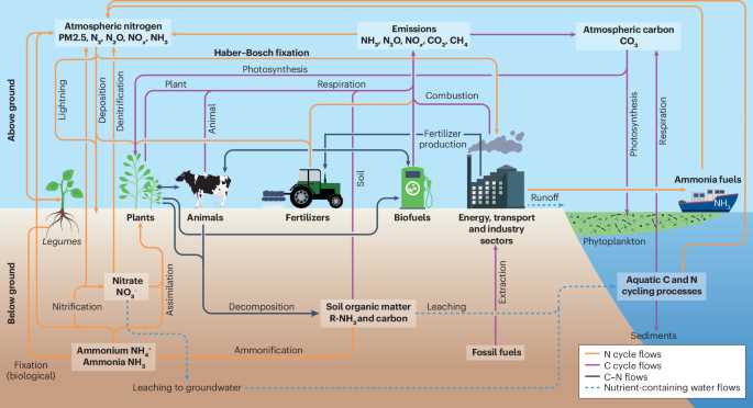 schematic diagram of nitrogen