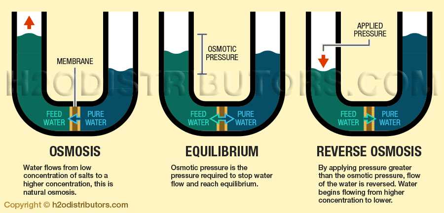 schematic diagram of reverse osmosis system schematic diagram of reverse osmosis system