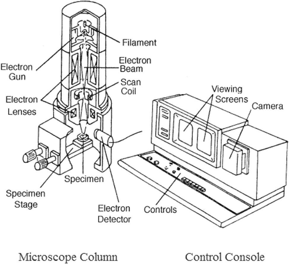 schematic diagram of scanning electron microscope sem