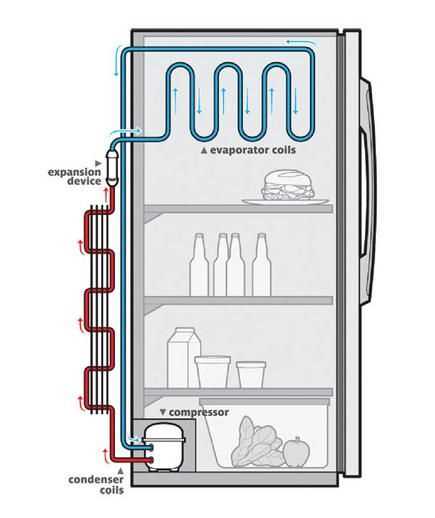 schematic diagram of the working principle of a refrigerator