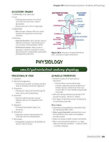 schematic diagram pearson digestive system schematic diagram pearson digestive system