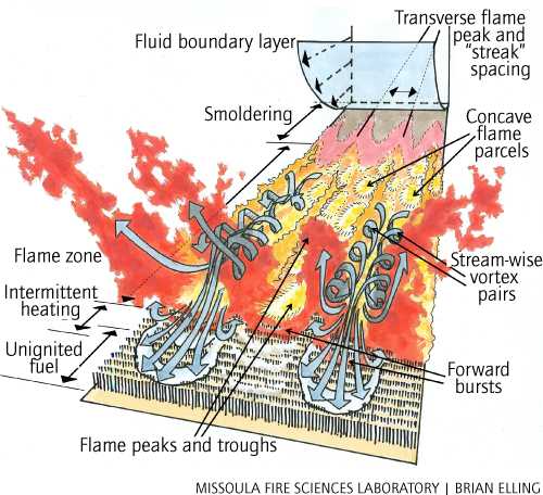 schematic diagram wildfire system