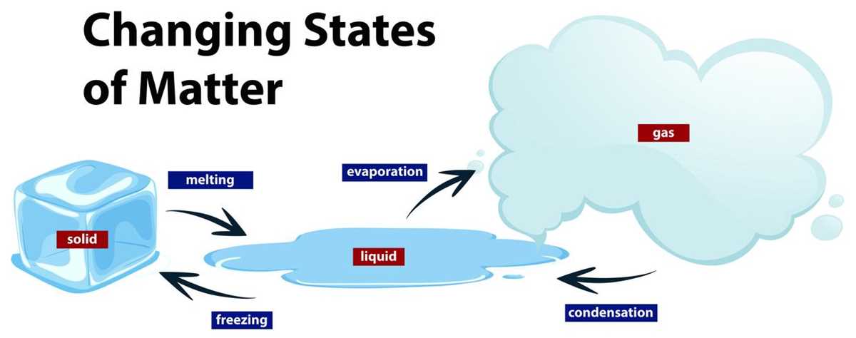 the schematic diagram of matter the schematic diagram of matter