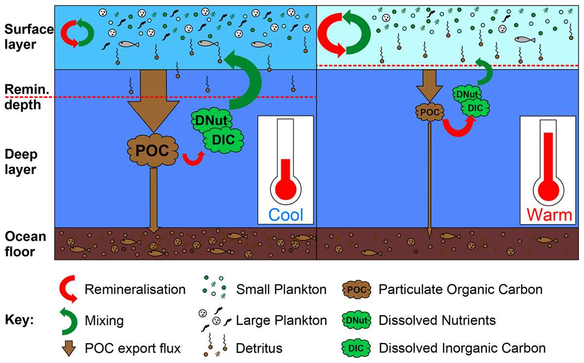 climate change schematic diagram