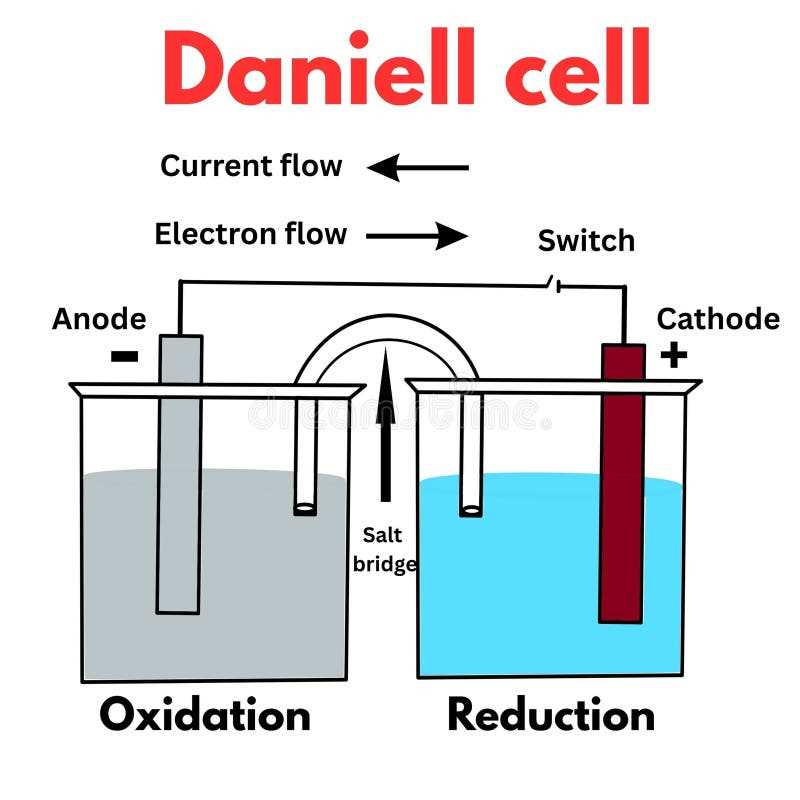 cell schematic diagram chemistry cell schematic diagram chemistry