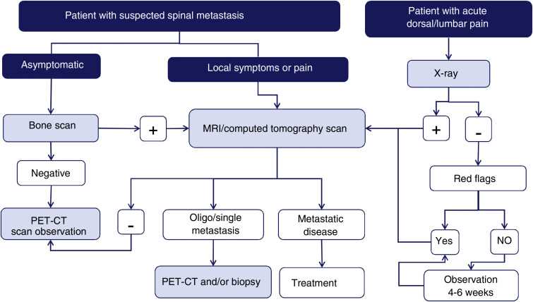 schematic diagram of metastatic spine disease