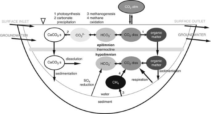 schematic diagram of carbon cycle schematic diagram of carbon cycle