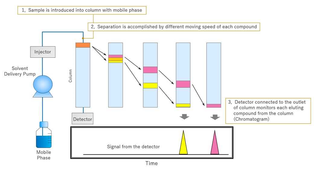 draw a schematic diagram of hplc
