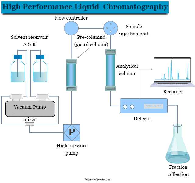 draw and label a schematic diagram of hplc