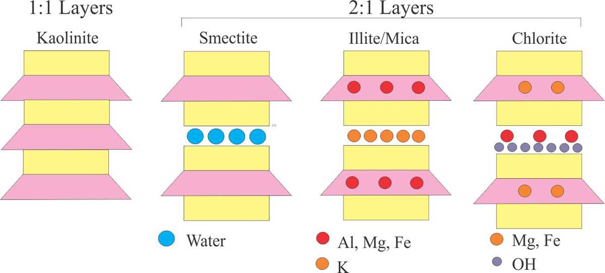 diagram schematic structure of trioctahedral mica