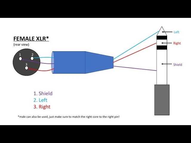3 pin xlr wiring diagram