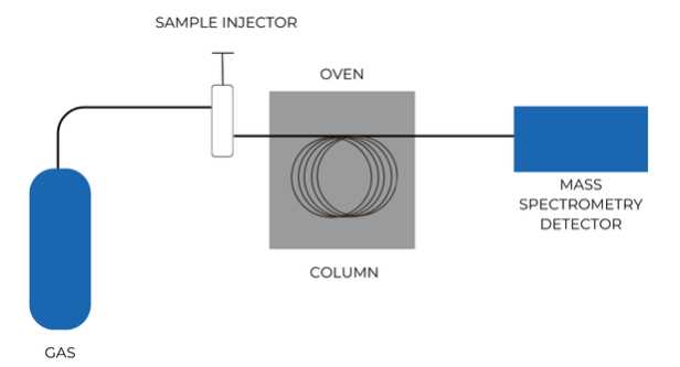 schematic diagram of gas chromatograph schematic diagram of gas chromatograph
