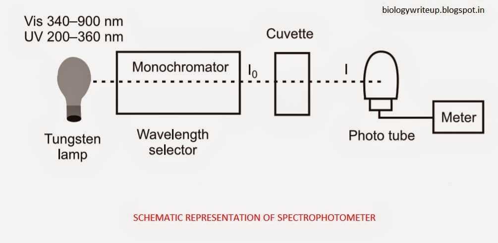 schematic diagram of uv visible spectrometer