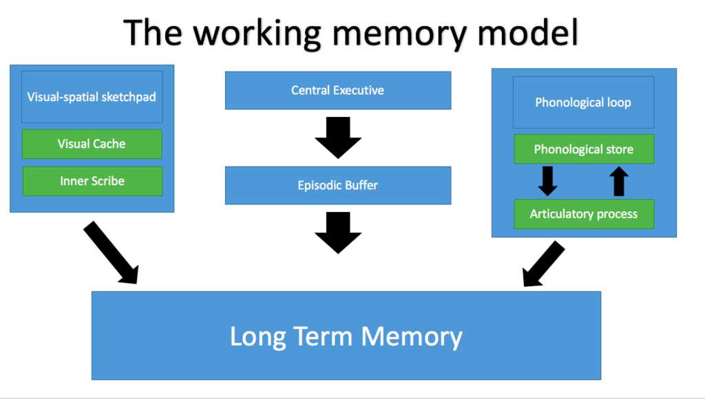 working memory schematic diagram working memory schematic diagram