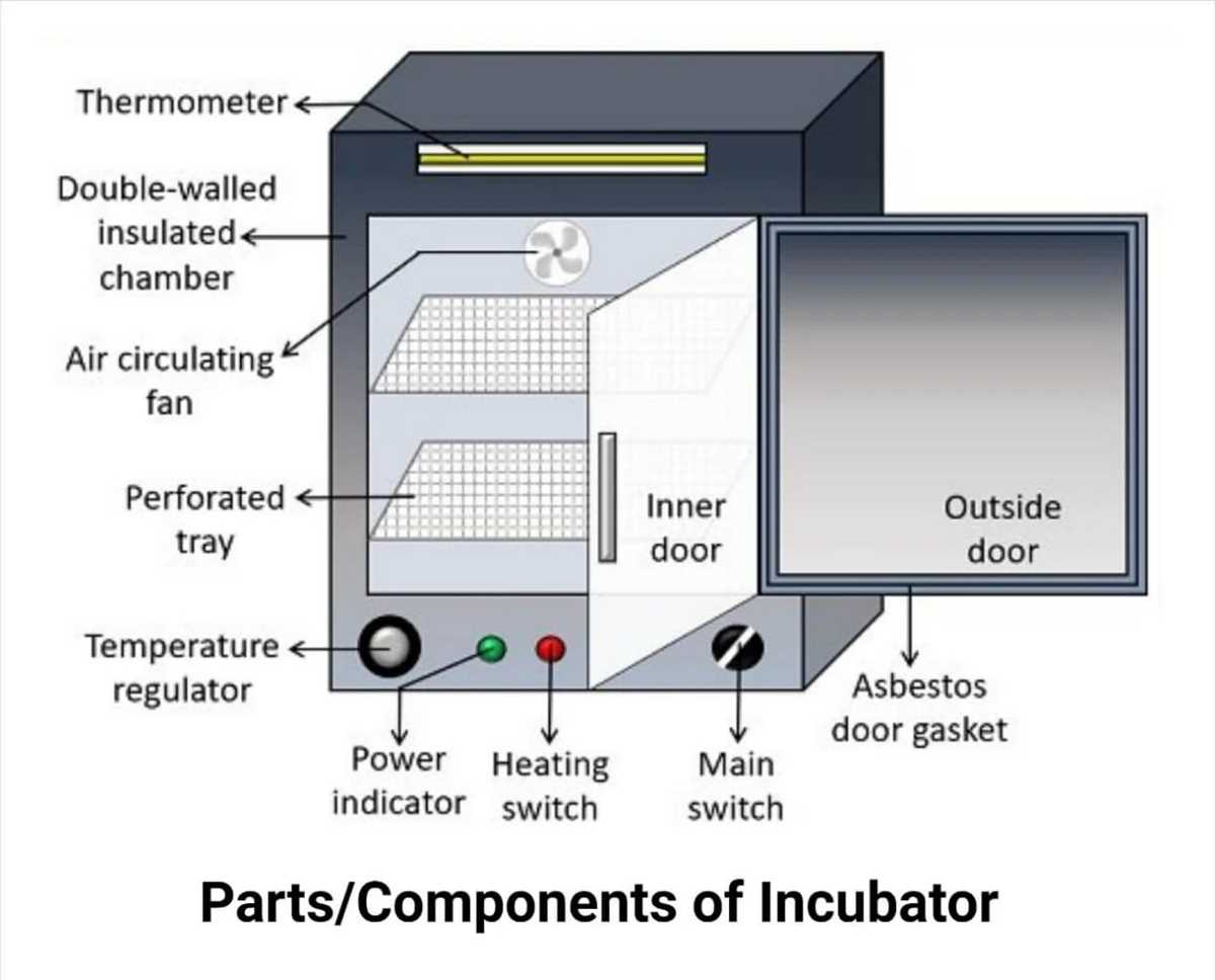 incubator circuit diagram incubator circuit diagram