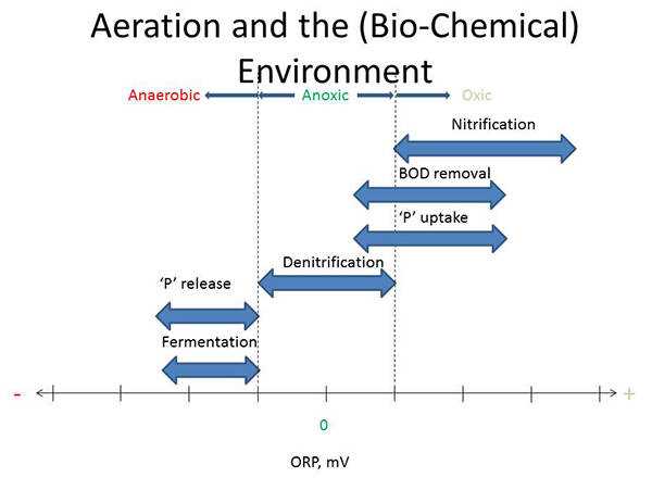 schematic diagram of activated sludge process schematic diagram of activated sludge process