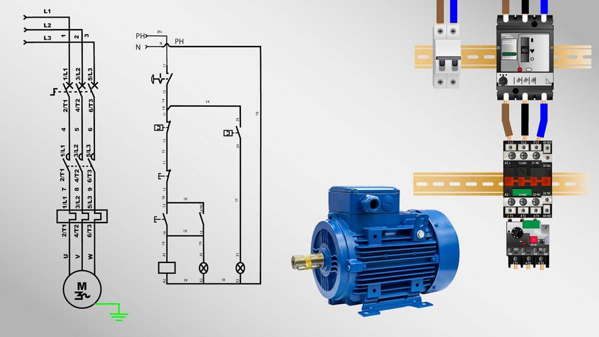 schematic diagram of dol starter of three phase induction motor