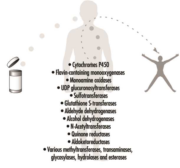 schematic diagram exposure toxicant