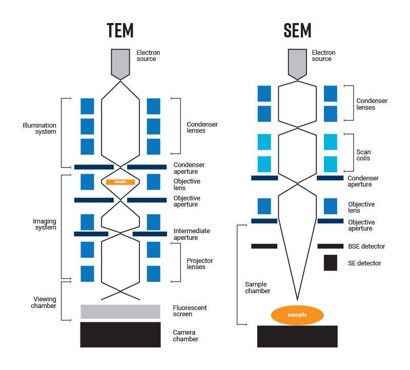 transmission electron microscope schematic diagram