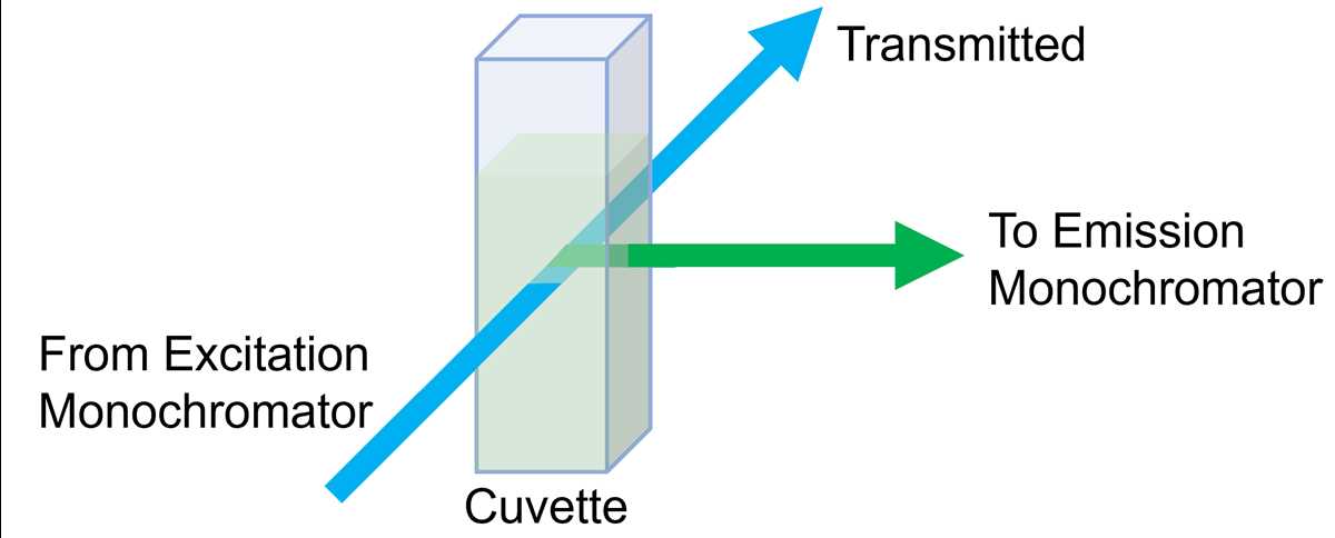 schematic diagram of fluorescence spectrophotometer